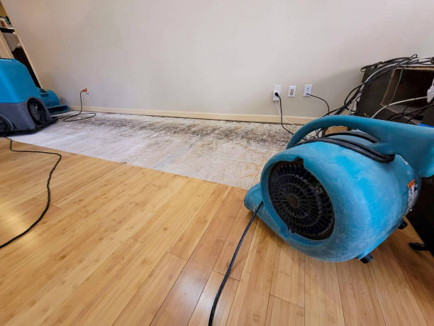 Professional Structural Drying technician working in Centerville, IA